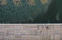 28预测模式测试引擎工具界面截图
